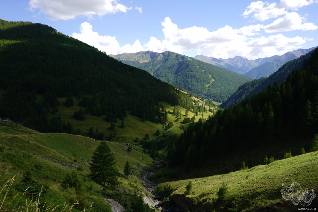 DSC09400