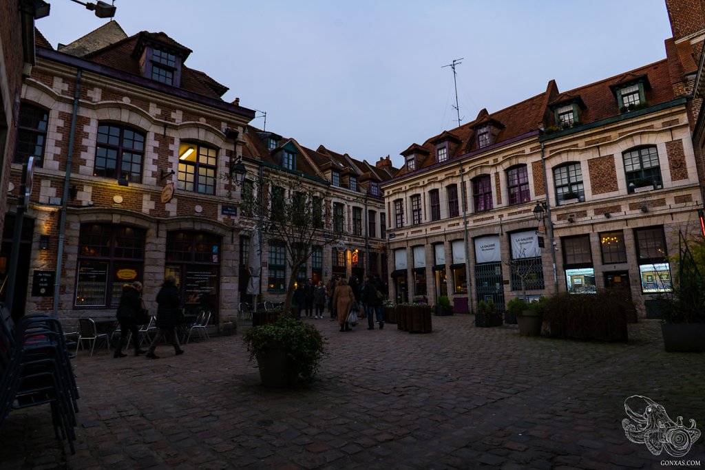 DSC05723